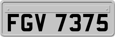 FGV7375