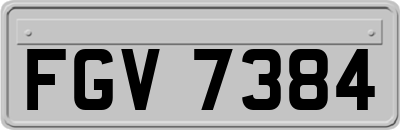 FGV7384