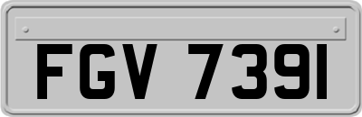 FGV7391