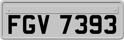 FGV7393