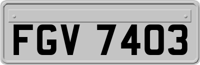 FGV7403