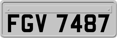 FGV7487