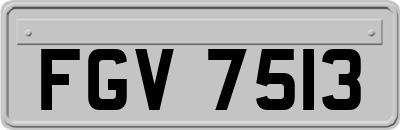 FGV7513