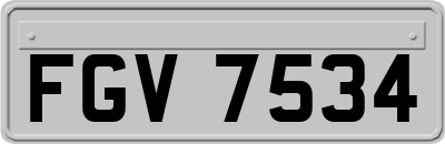 FGV7534