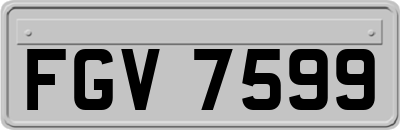 FGV7599