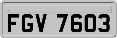 FGV7603