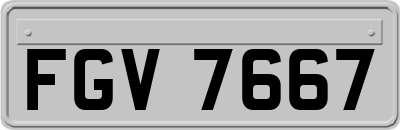 FGV7667
