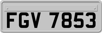 FGV7853