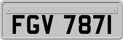FGV7871