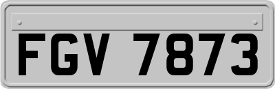 FGV7873