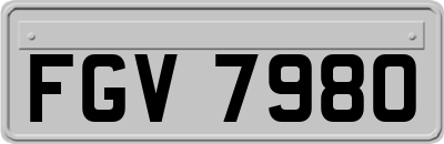 FGV7980
