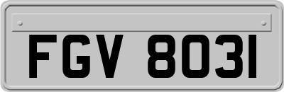 FGV8031