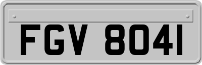 FGV8041
