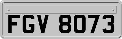 FGV8073