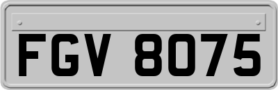 FGV8075