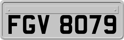 FGV8079