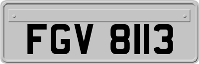FGV8113