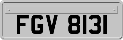 FGV8131