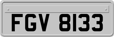 FGV8133