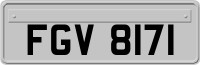 FGV8171