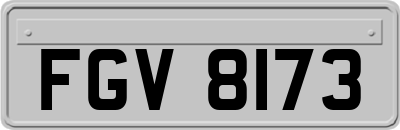 FGV8173