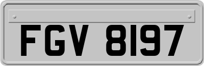 FGV8197