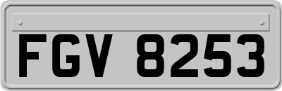 FGV8253