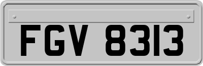 FGV8313