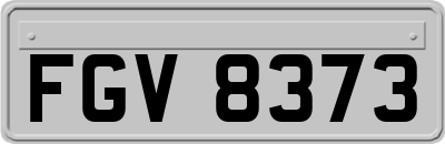 FGV8373