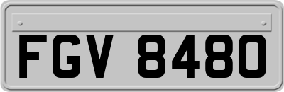 FGV8480