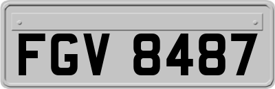 FGV8487