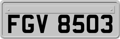 FGV8503