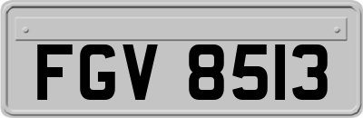 FGV8513