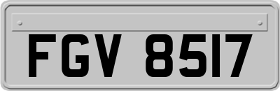 FGV8517