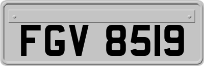 FGV8519