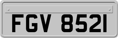 FGV8521