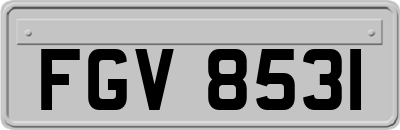 FGV8531