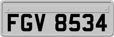 FGV8534