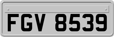 FGV8539