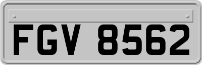 FGV8562