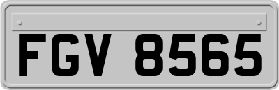 FGV8565