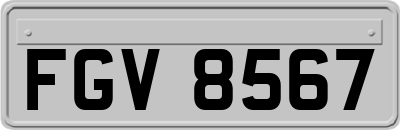 FGV8567