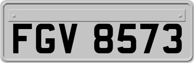 FGV8573