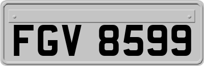 FGV8599