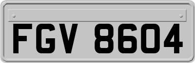 FGV8604