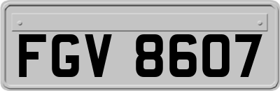 FGV8607