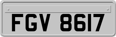 FGV8617