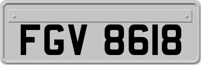 FGV8618