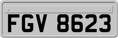 FGV8623