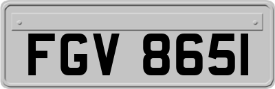 FGV8651